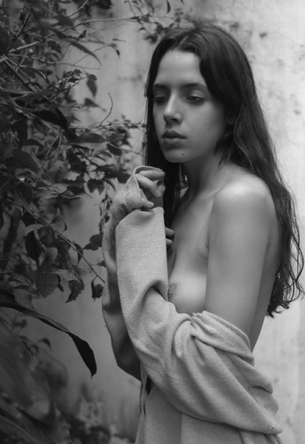 In the garden